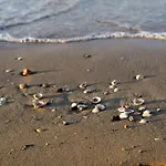 Family Gateaway In Bibione - Beahost